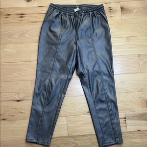 Caryn Vallone Metallic Gray Capris Faux Leather Pants | Size Large